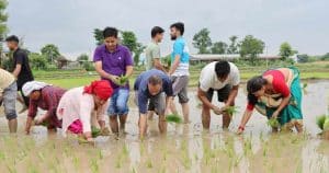 बुटवलमा पनि मनाईयो धान दिवस - Lumbini News