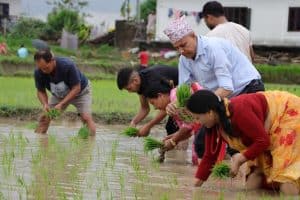 बुटवलमा पनि मनाईयो धान दिवस - Lumbini News