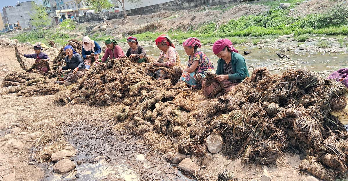 अल्लो उद्योगमा ३५ जना बढी महिलालाई रोजगारी - Lumbini News