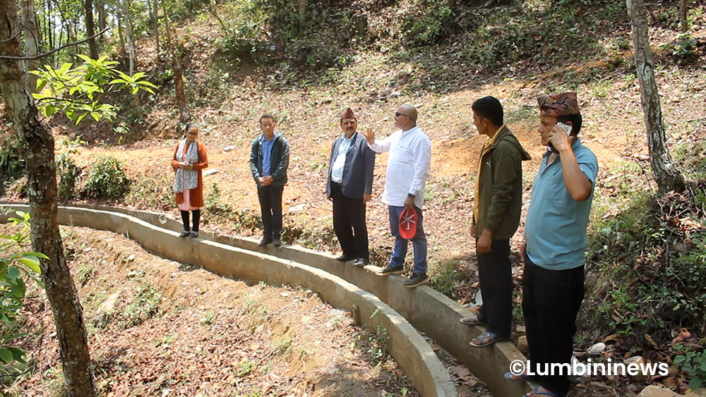 सिंचाई सुविधा पुगेपछि किसान हर्षित - Lumbini News
